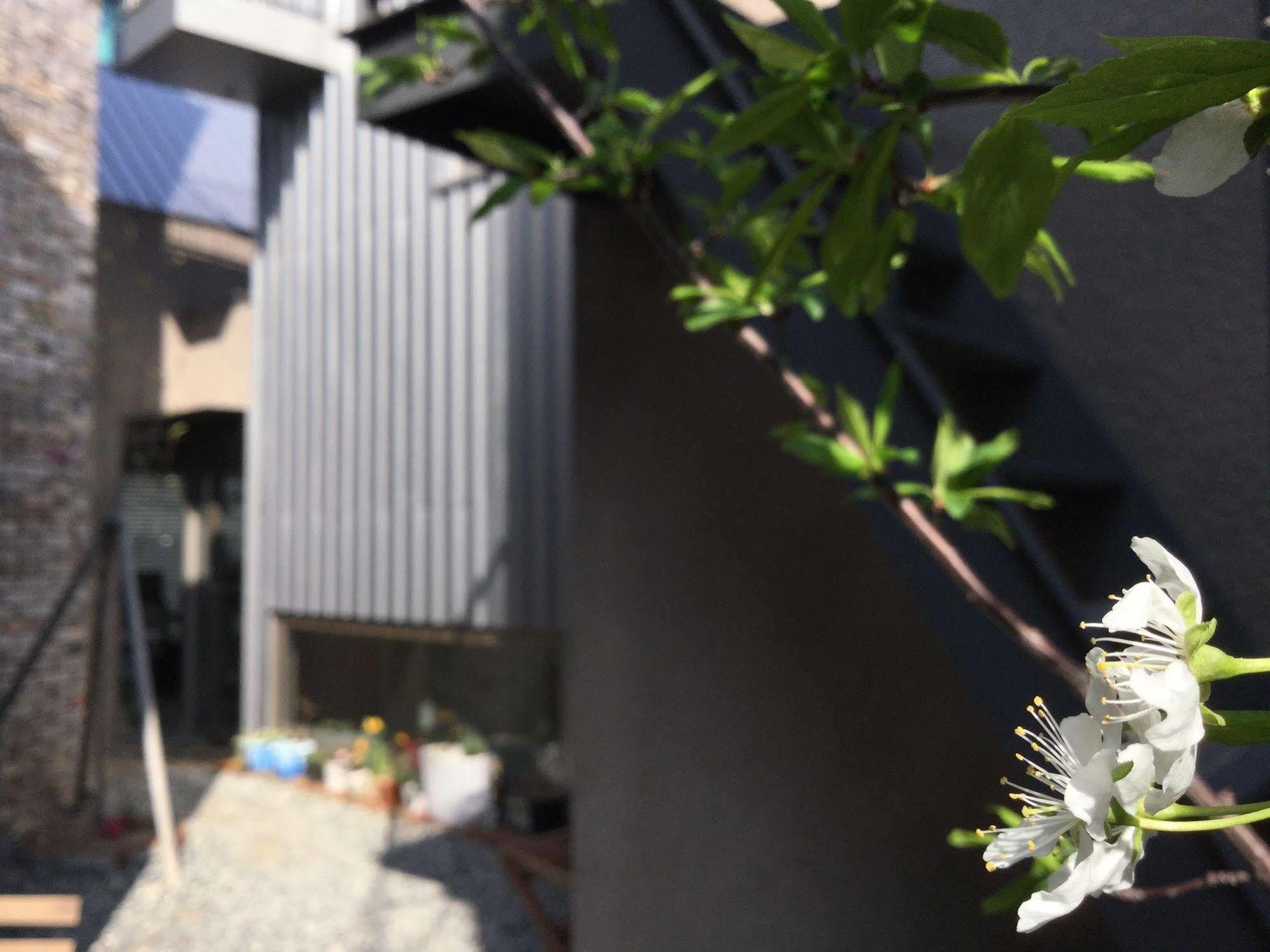 Inside Busan Hostel Exterior photo